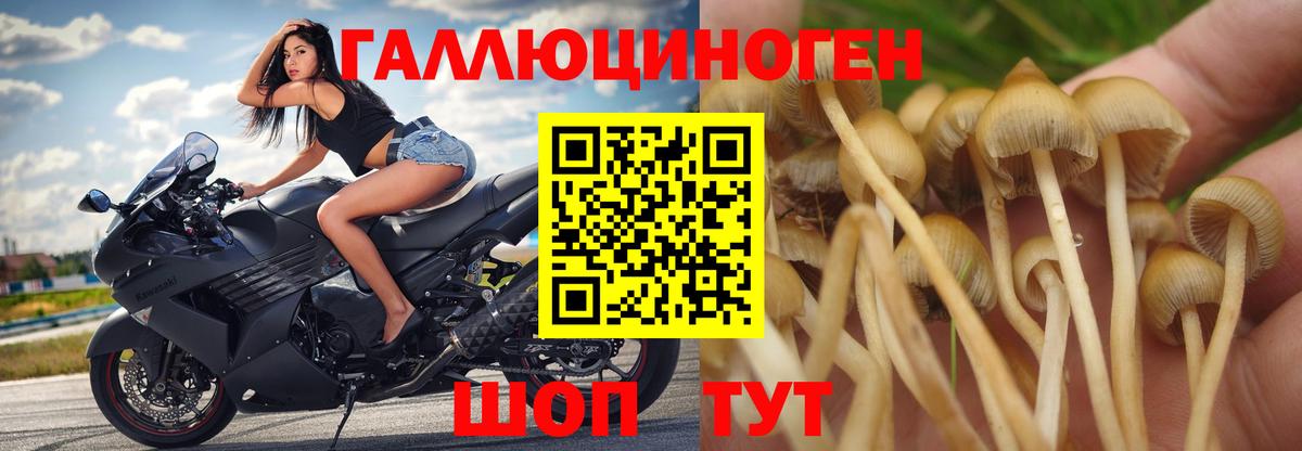 Галлюциногенные грибы ЛСД  Вход с VPN  Галлюциногенные грибы прущие грибы  Ачинск 